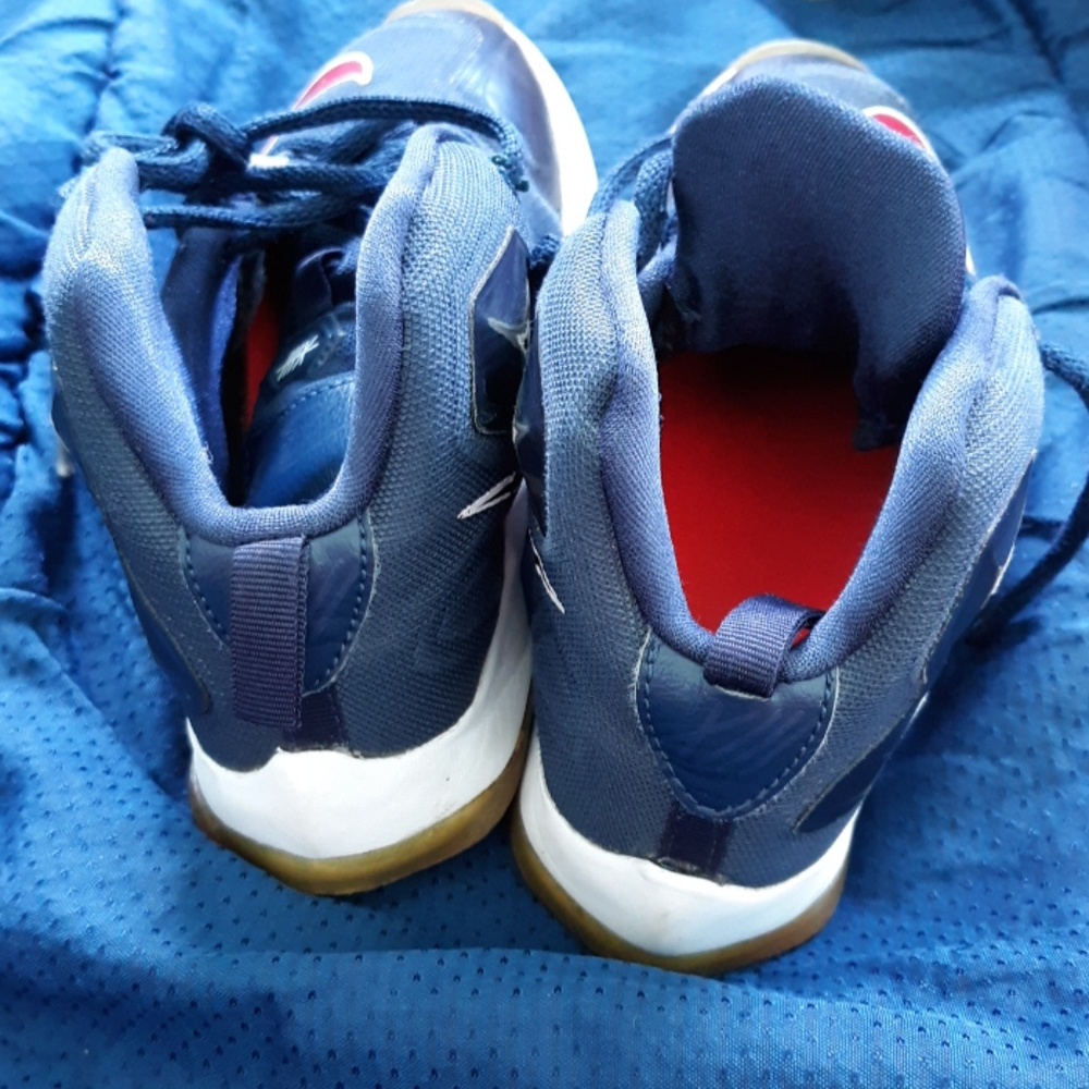 Lebrons - Picture 4 of 4